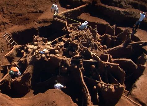 largest ant colony